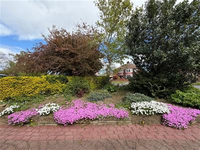 Picture 18